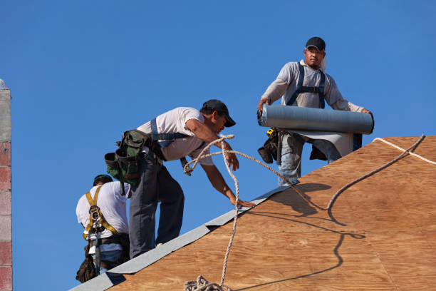 Best Metal Roofing Contractor  in Oroville, WA