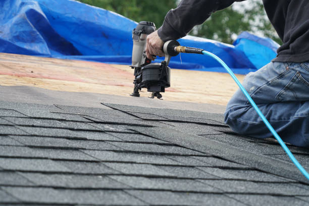 Best Roof Gutter Cleaning  in Oroville, WA